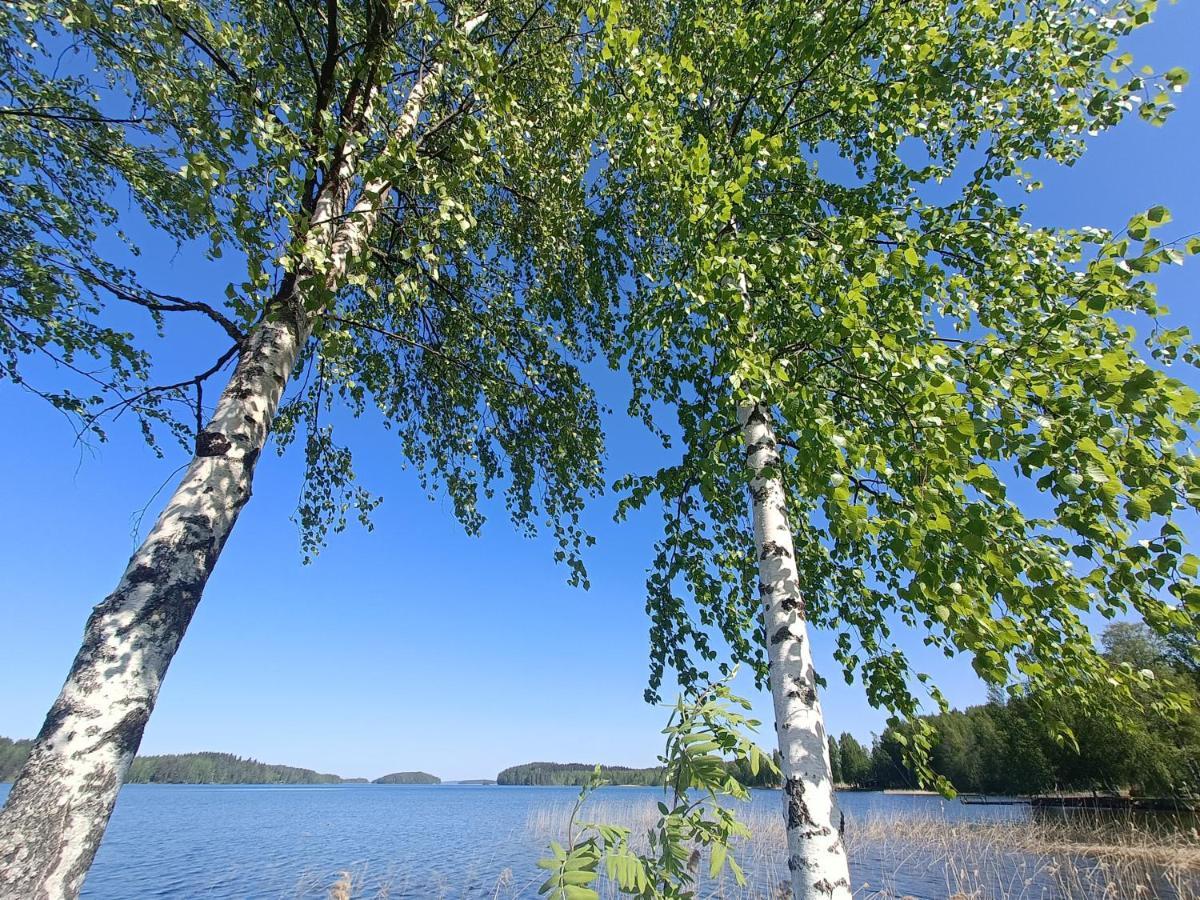 Cronin'S Guesthouse Bed & Breakfast Heinola Dış mekan fotoğraf