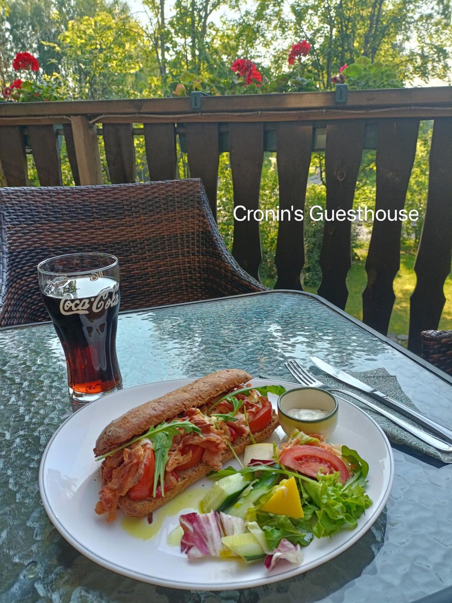 Cronin'S Guesthouse Bed & Breakfast Heinola Dış mekan fotoğraf
